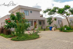 Vipingo budget stay